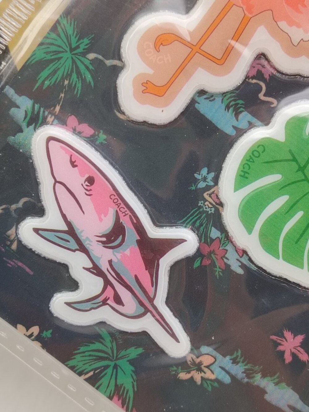 Coach sticker - Picture 5 of 5